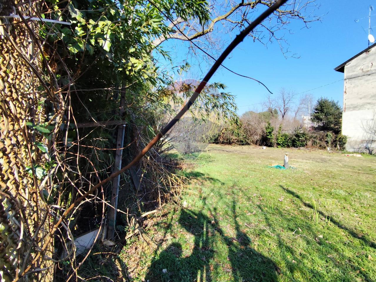 immagine annuncio 4 di 6