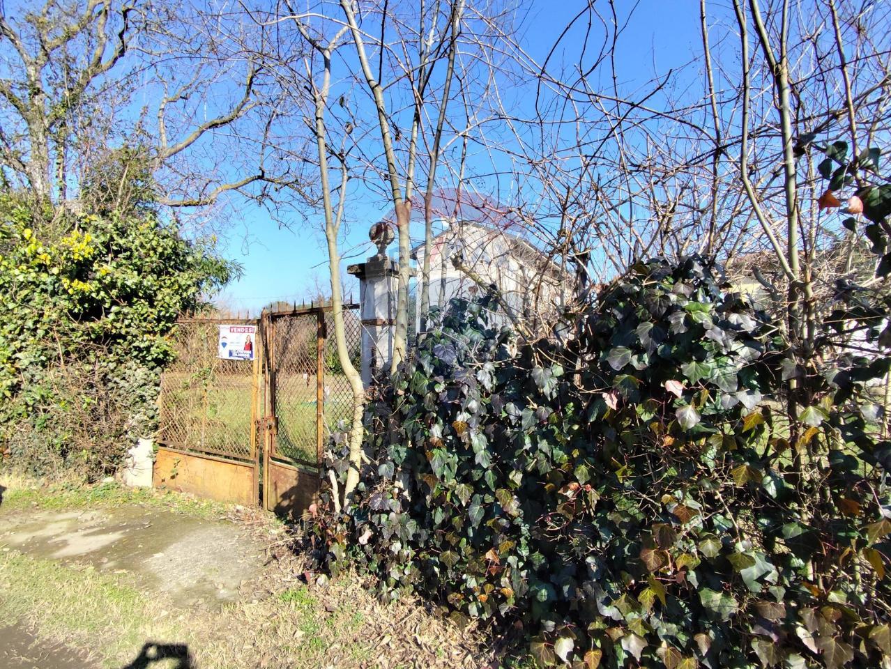 immagine annuncio 1 di 6