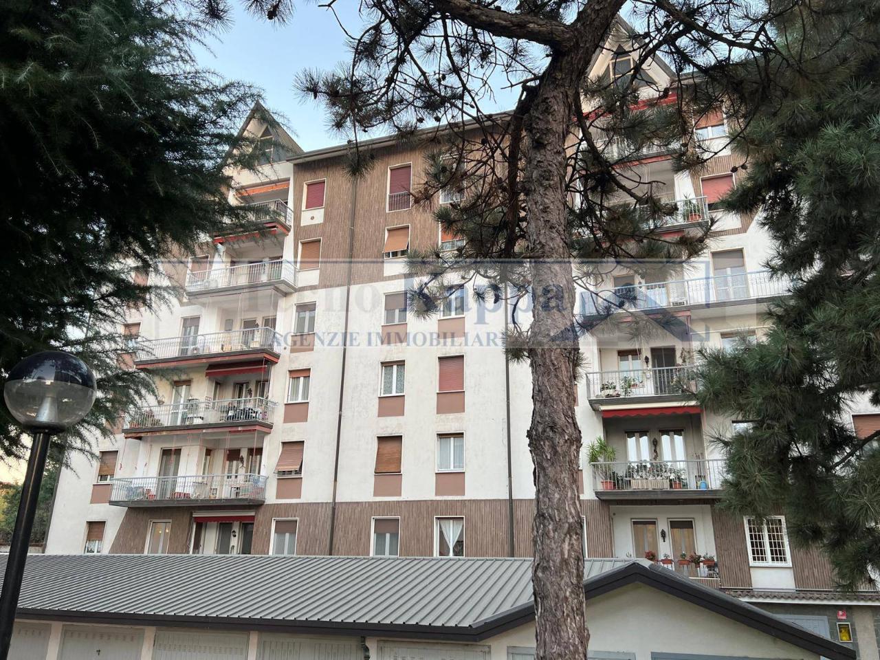 immagine annuncio 1 di 4