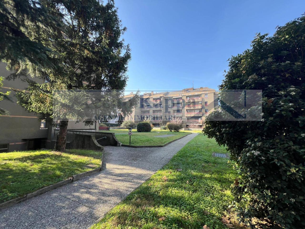 immagine annuncio 2 di 6