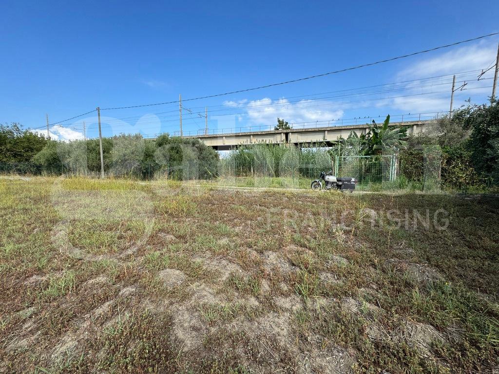 immagine annuncio 4 di 6