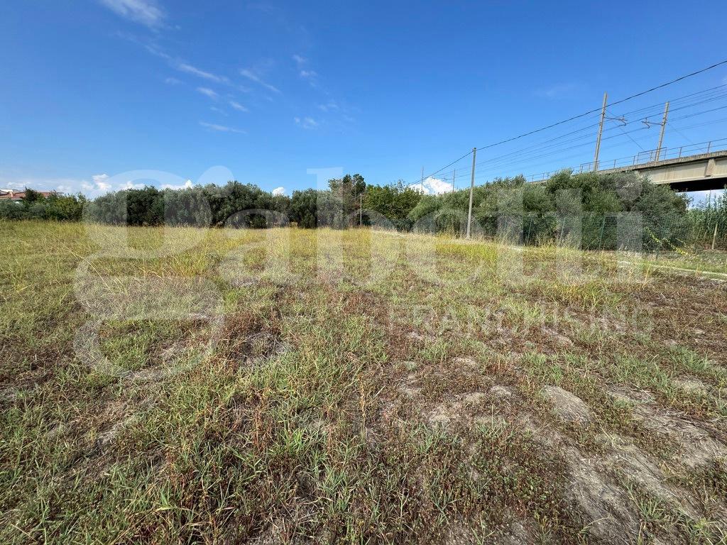 immagine annuncio 3 di 6