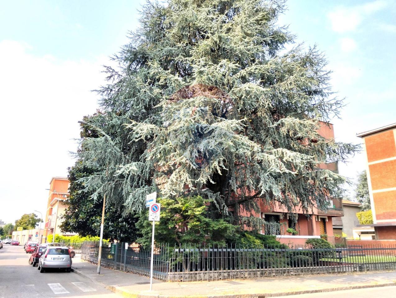 immagine annuncio 6 di 11