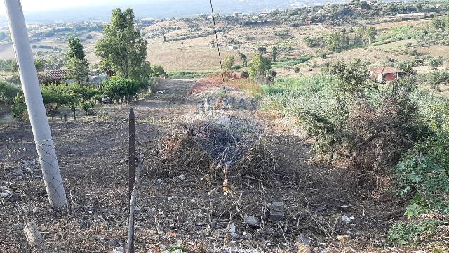 Terreno agricolo in Via Giubileo 2000 2000, Motta Sant'Anastasia - Foto 1