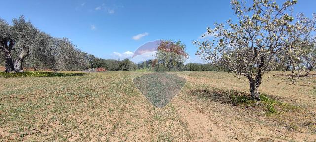 Terreno agricolo in Contrada Piano Chiesa Sn, Caltagirone - Foto 1