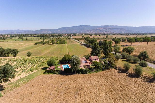 Mansion in Via Luca Ghini 8, Cortona - Photo 1