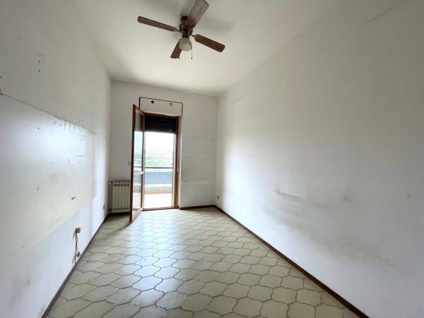 immagine annuncio 8 di 14