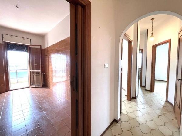 immagine annuncio 10 di 14