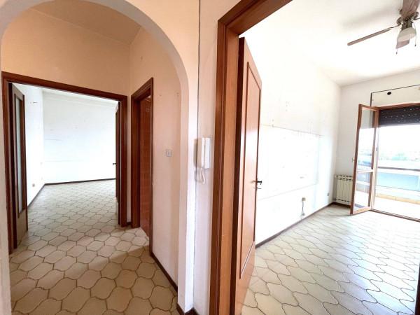 immagine annuncio 9 di 14