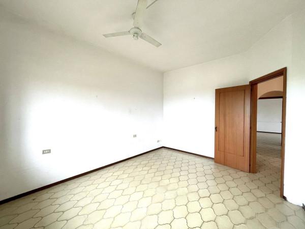 immagine annuncio 11 di 14