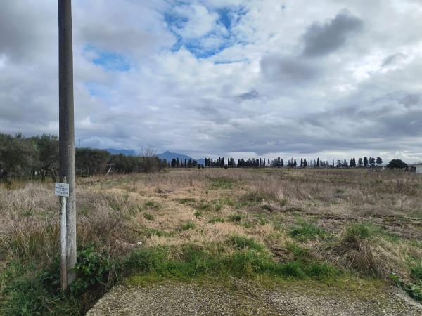 immagine annuncio 5 di 11