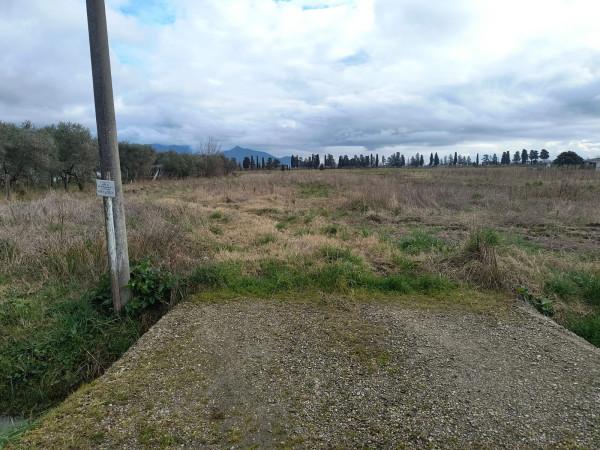 immagine annuncio 8 di 11