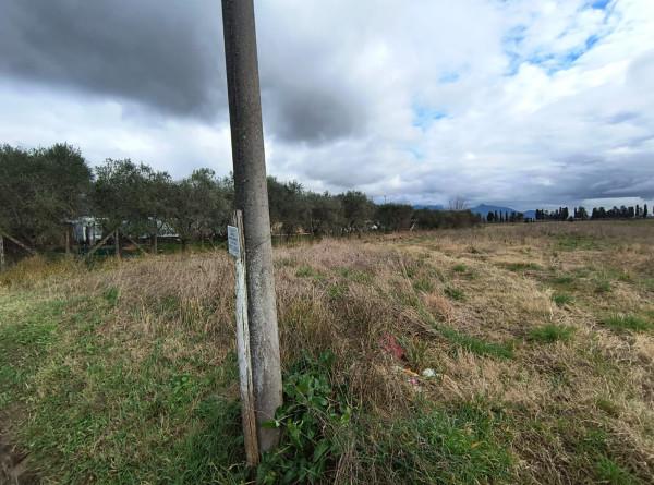 immagine annuncio 6 di 11