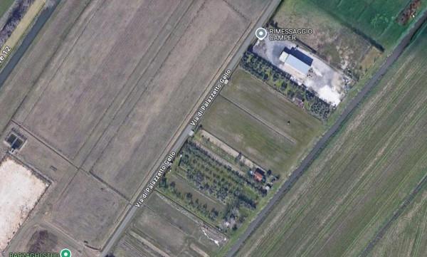 immagine annuncio 10 di 11