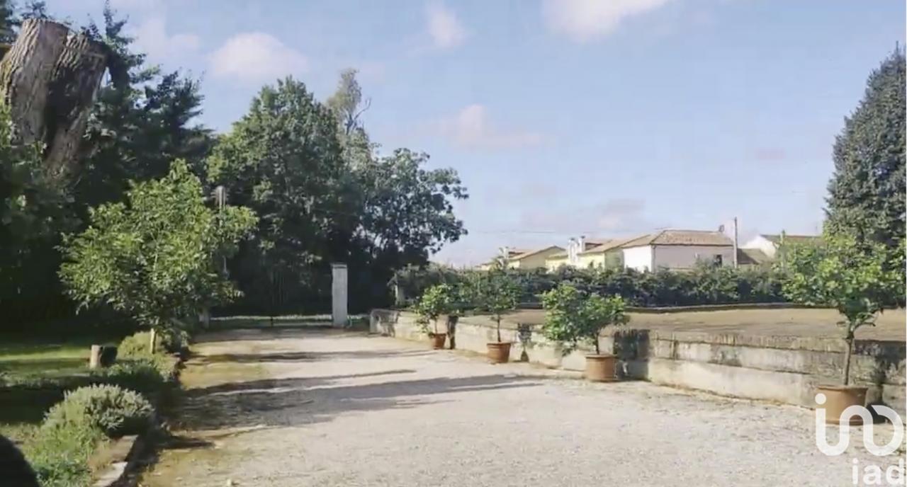 immagine annuncio 2 di 12