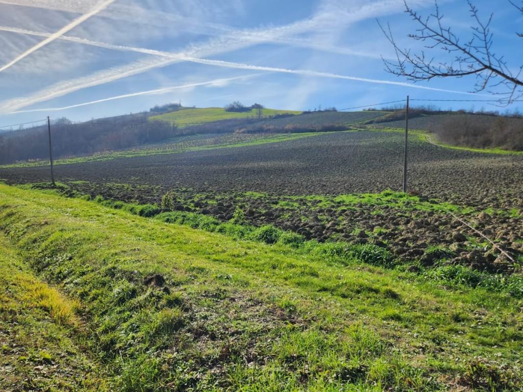 Terreno agricolo in vendita a Bertinoro