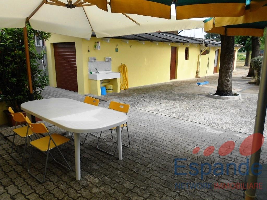 immagine annuncio 9 di 14