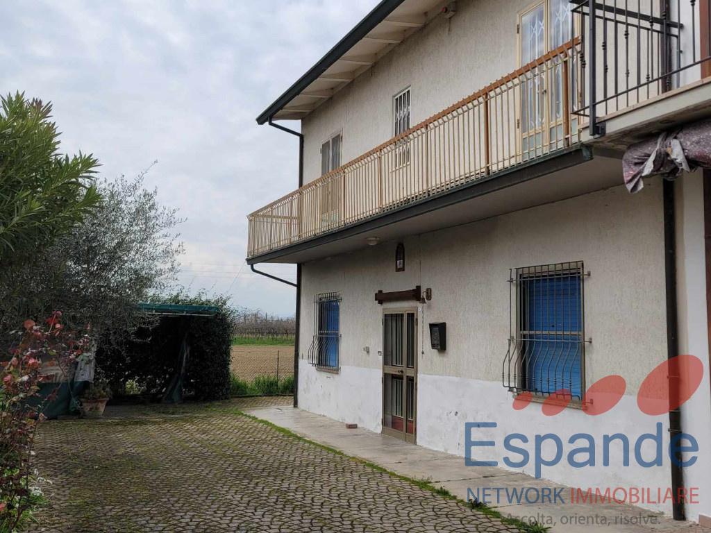 immagine annuncio 2 di 14