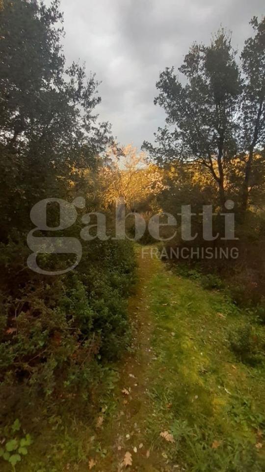 immagine annuncio 6 di 8