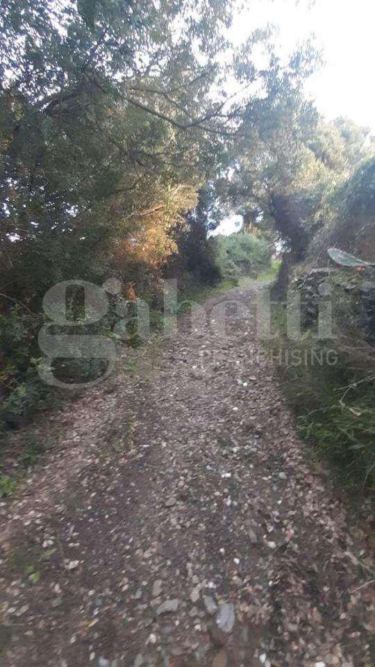 immagine annuncio 5 di 8