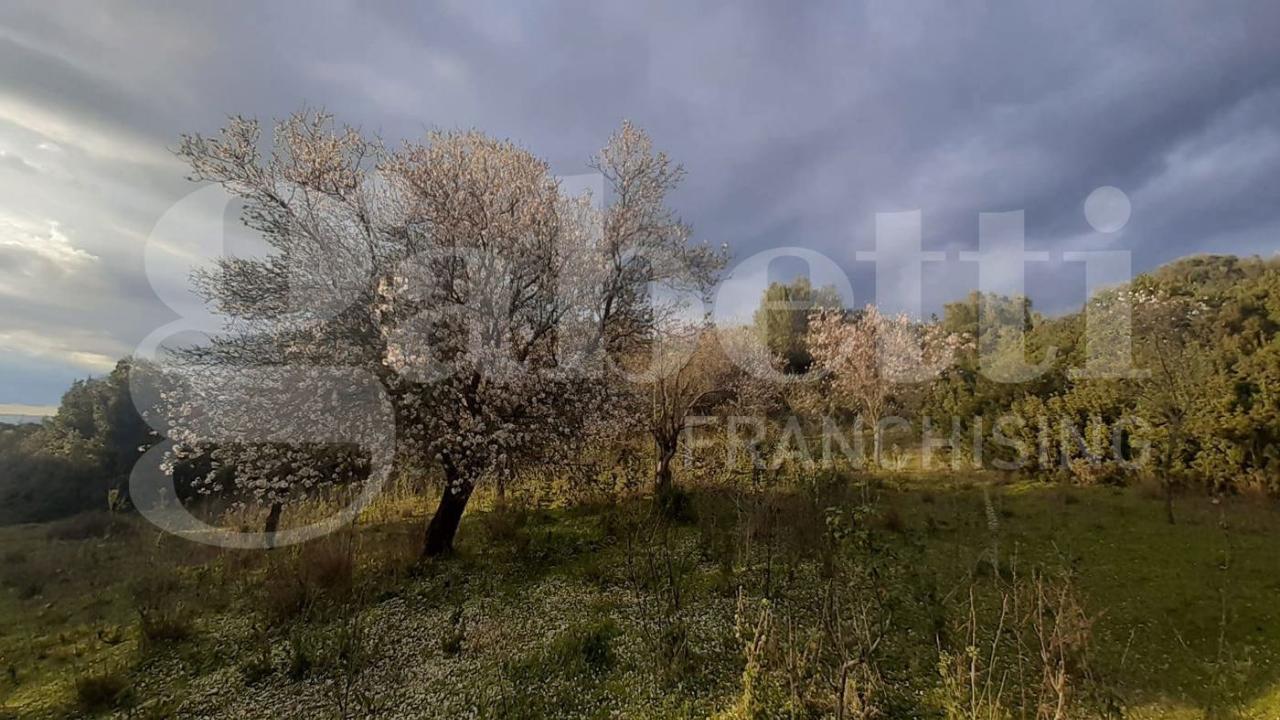 immagine annuncio 4 di 8