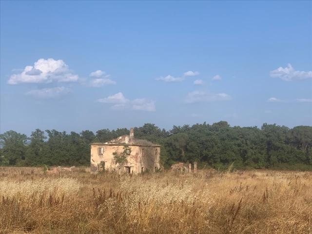 Landhaus, Castiglione del Lago - Foto 1