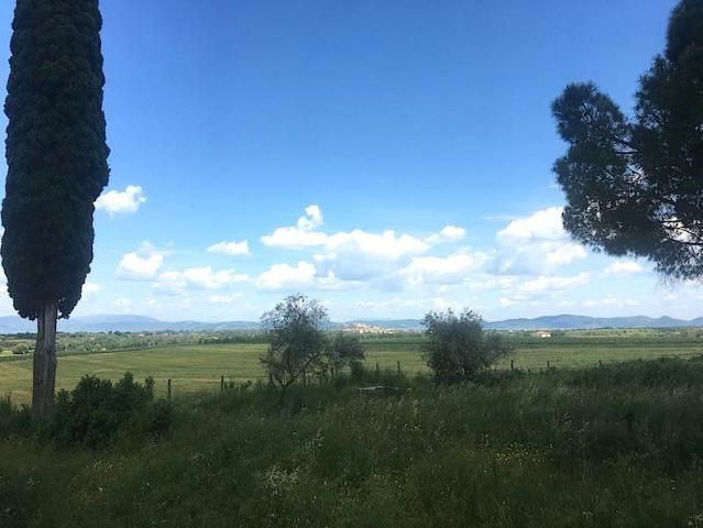 Rustico, Castiglione del Lago - Foto 1