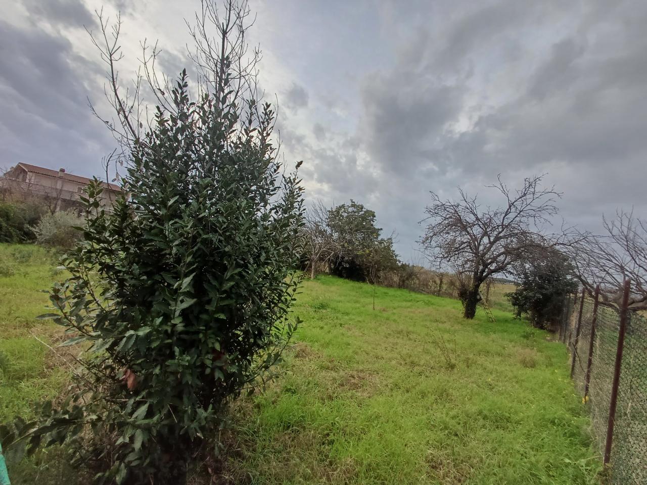 immagine annuncio 5 di 8