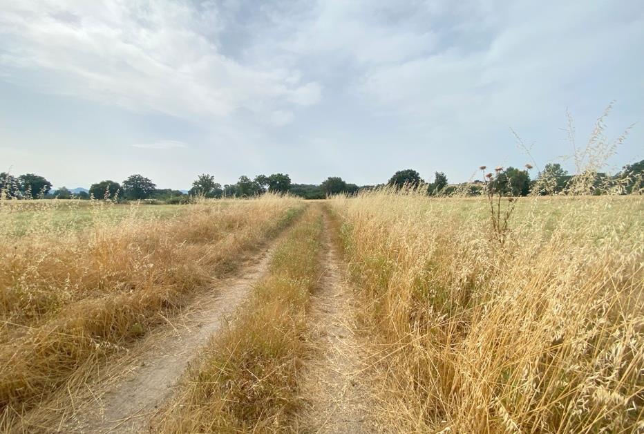 Azienda agricola in Via Vitellino 72, Castiglione Del Lago, {3} - Foto 1