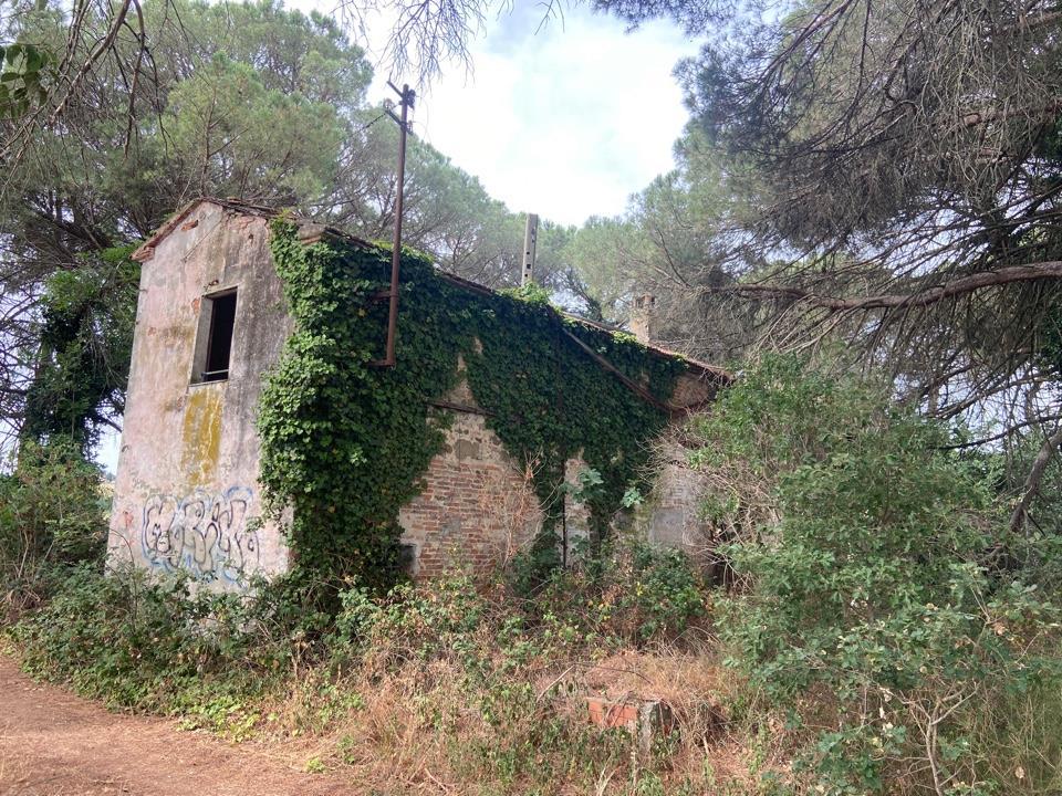 Azienda agricola in Via Vitellino 72, Castiglione Del Lago, {3} - Foto 2