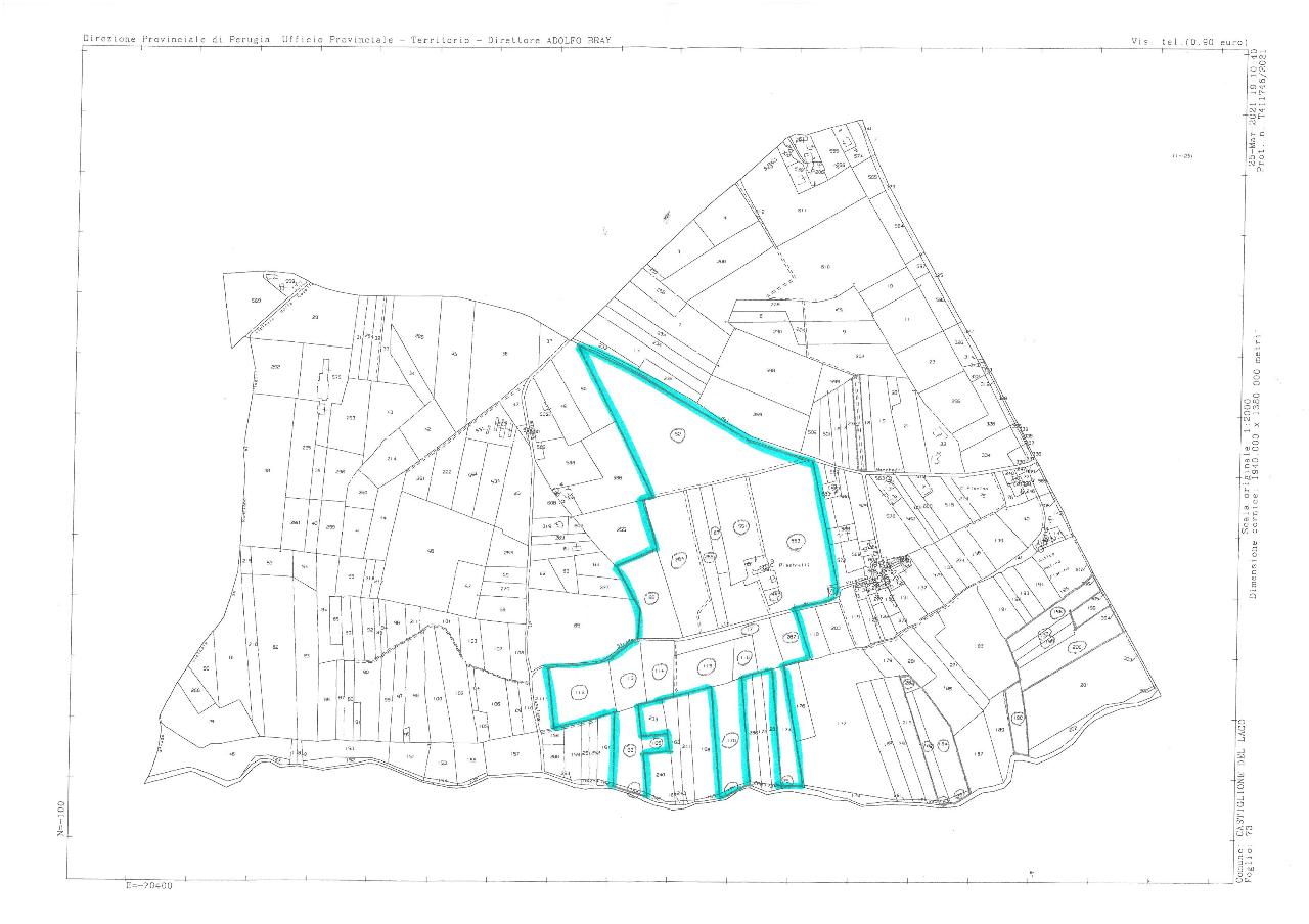 Azienda agricola in Via Vitellino 72, Castiglione Del Lago, {3} - Planimetria 1