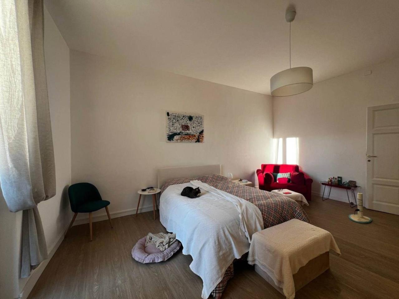 immagine annuncio 11 di 14