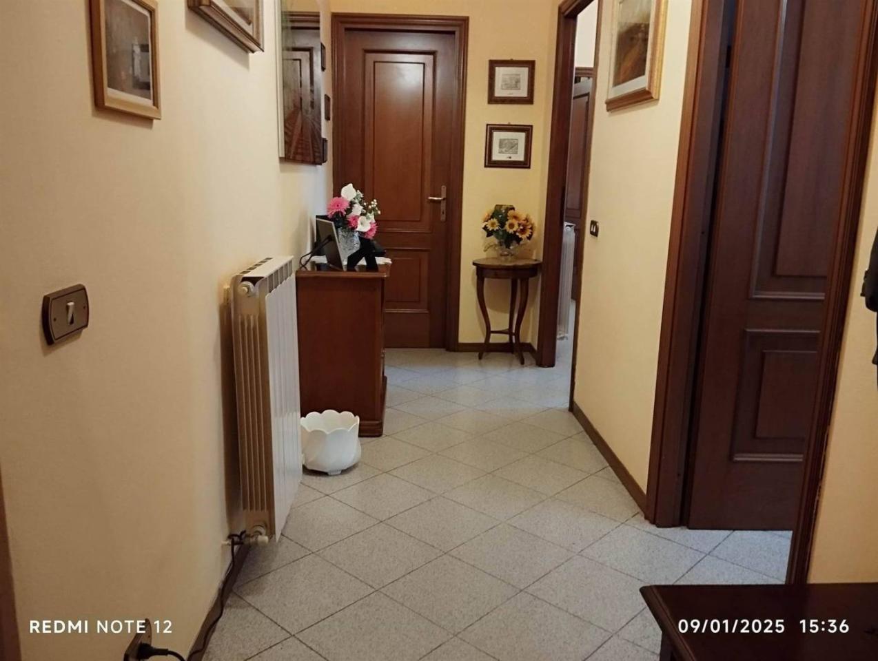 immagine annuncio 9 di 12