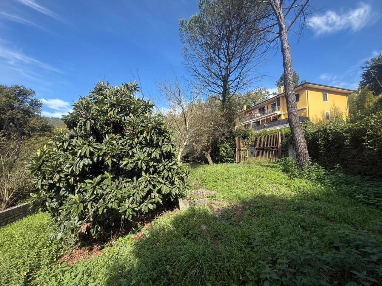 immagine annuncio 4 di 14