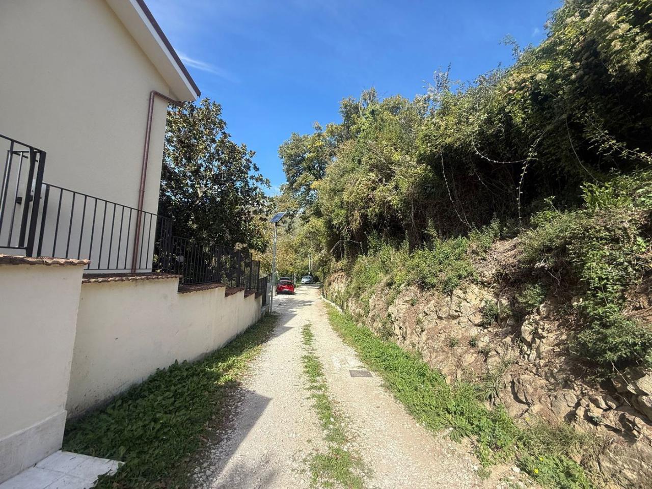 immagine annuncio 10 di 14