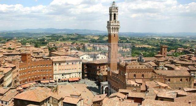 Shop, Siena - Photo 1