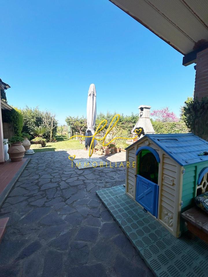 immagine annuncio 7 di 14