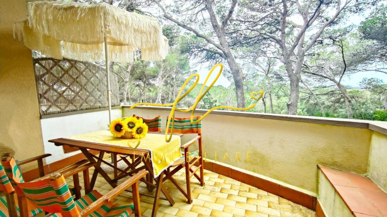 immagine annuncio 4 di 12