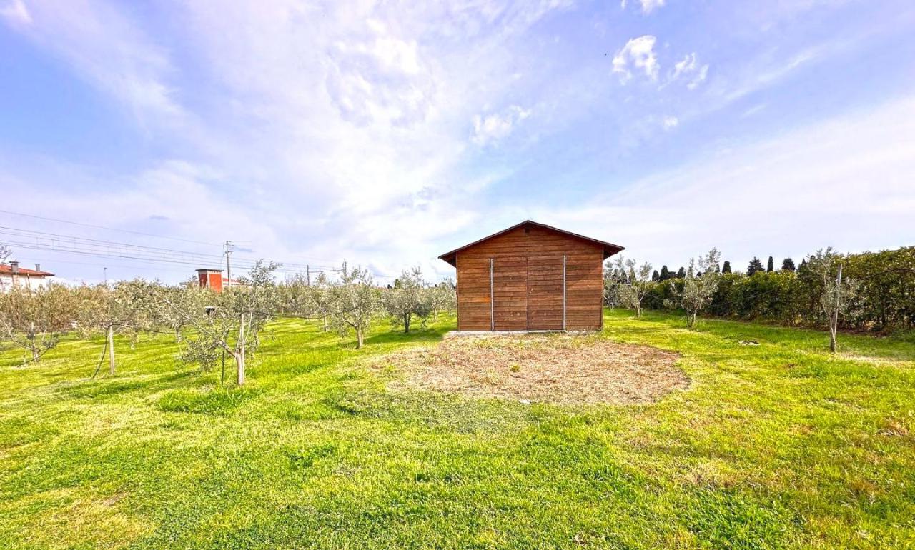 immagine annuncio 9 di 10