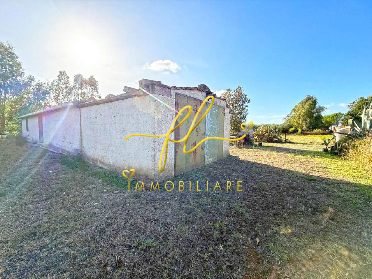 immagine annuncio 5 di 7