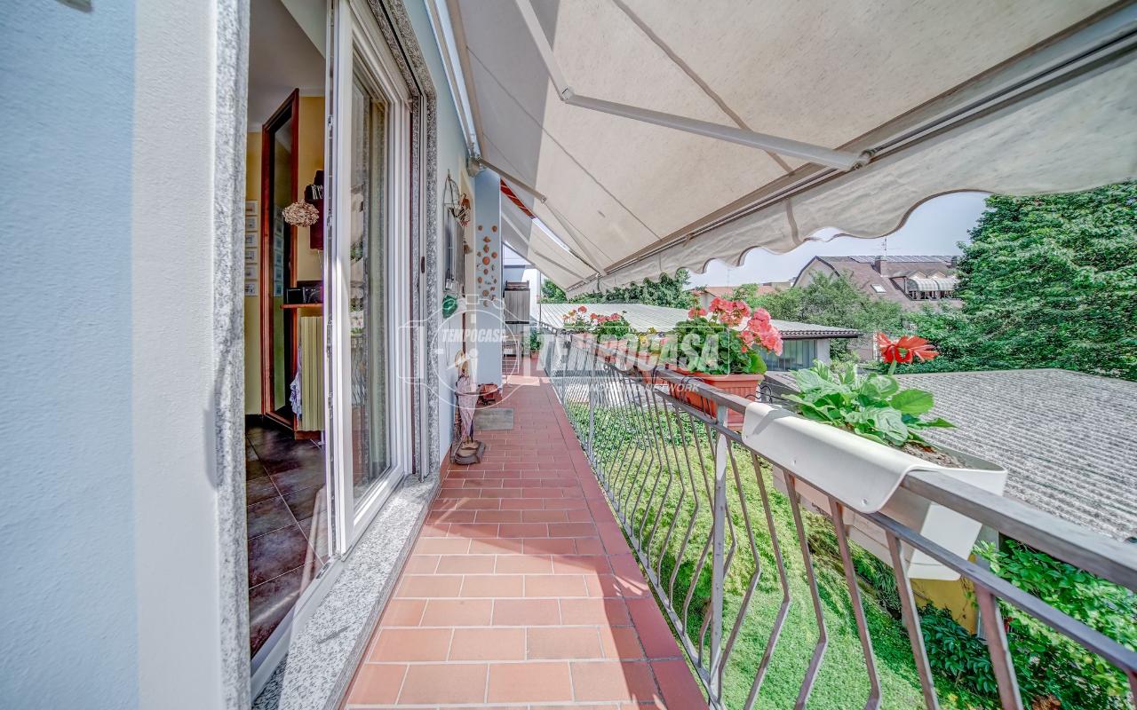 immagine annuncio 9 di 15