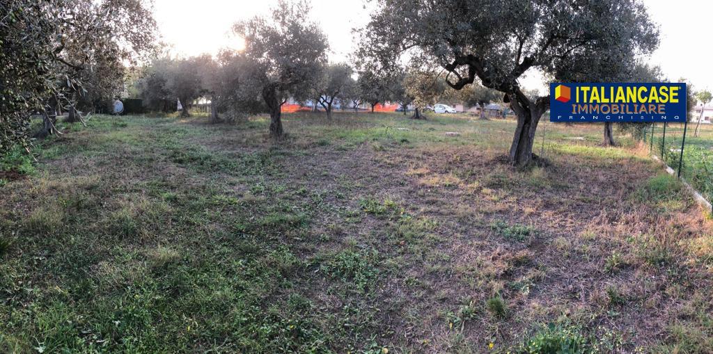 Terreno agricolo in vendita a Citta' Sant'Angelo