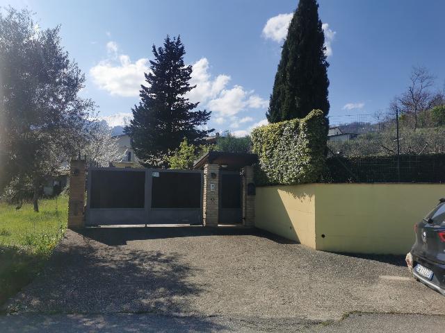 insertion image