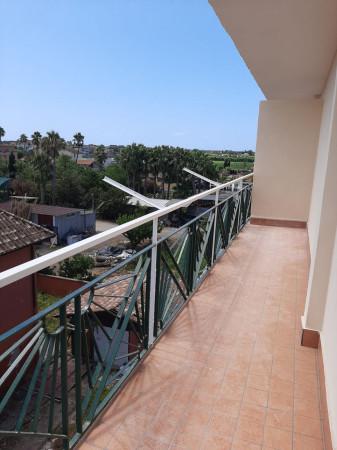 immagine annuncio 5 di 6