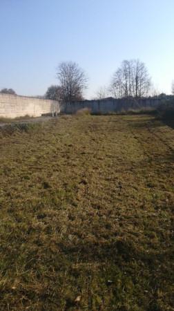 immagine annuncio 1 di 6