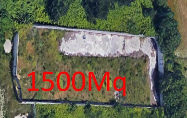 immagine annuncio 5 di 6