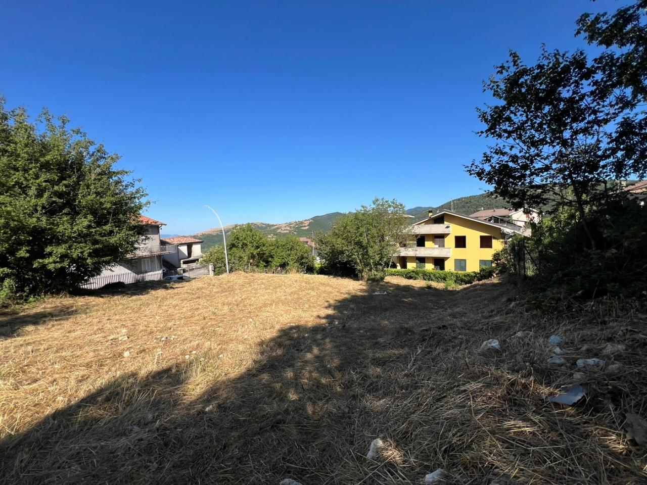 immagine annuncio 5 di 12