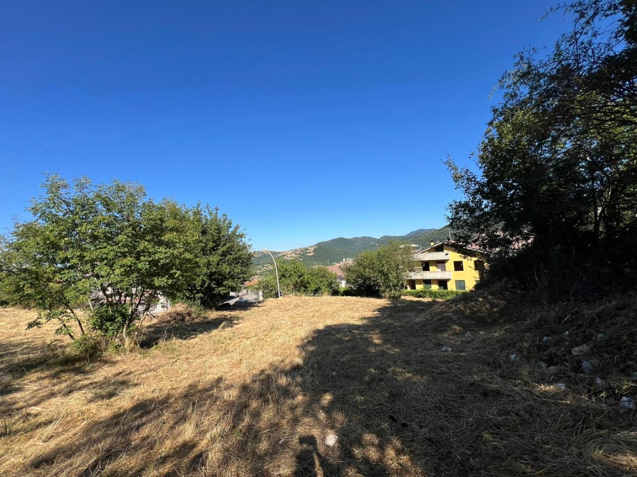 immagine annuncio 9 di 12