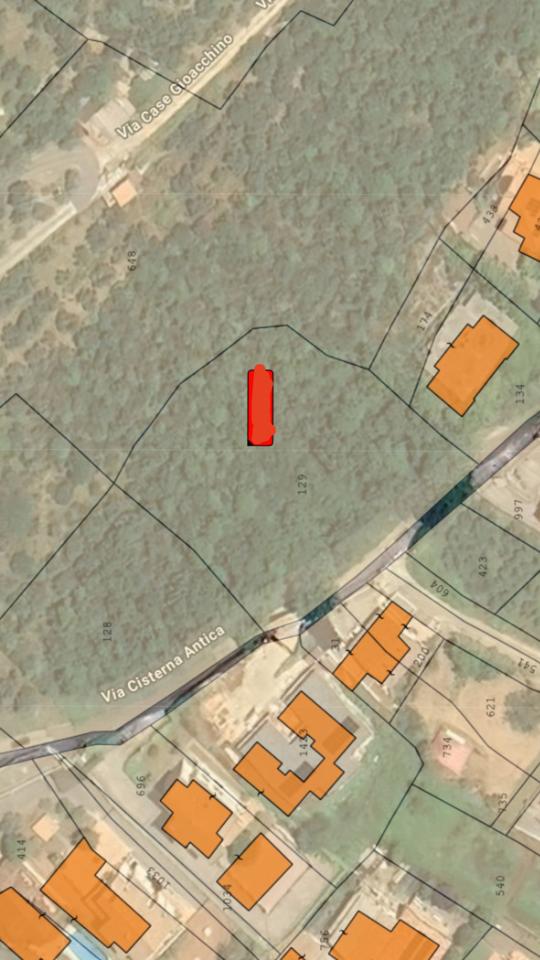 immagine annuncio 1 di 2