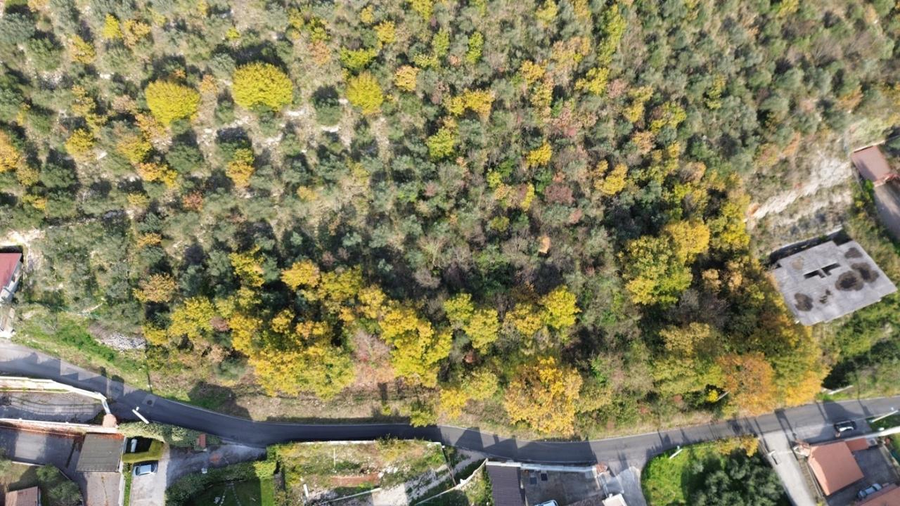 immagine annuncio 3 di 8